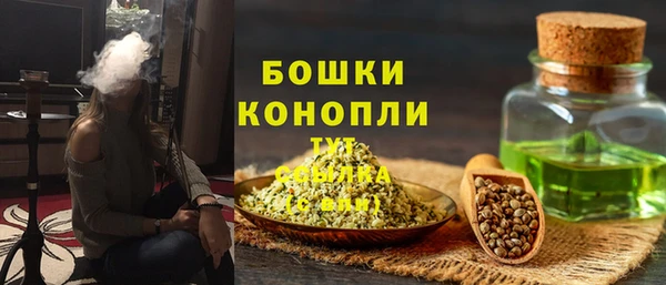apvp Гусиноозёрск